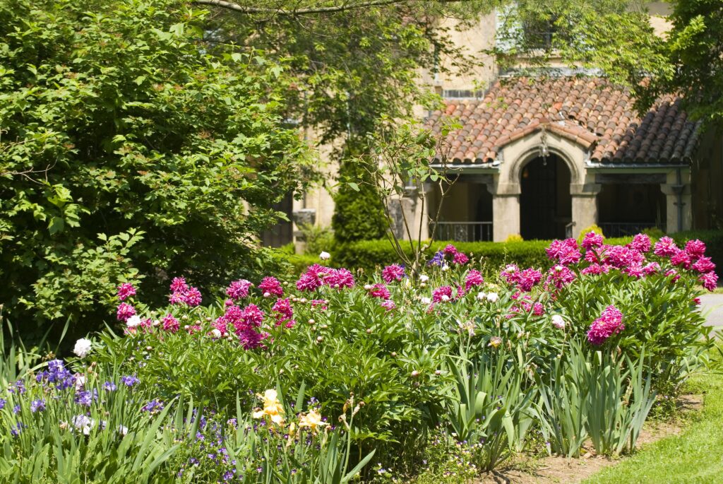 Flowers and green grass